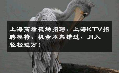 上海高端夜场招聘，上海KTV招聘模特，机会不容错过，月入轻松过万！