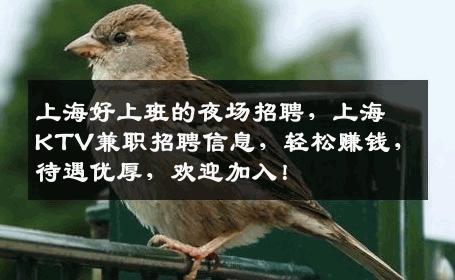 上海好上班的夜场招聘，上海KTV兼职招聘信息，轻松赚钱，待遇优厚，欢迎加入！