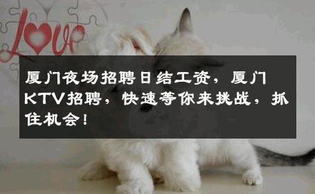 厦门夜场招聘日结工资，厦门KTV招聘，快速等你来挑战，抓住机会！