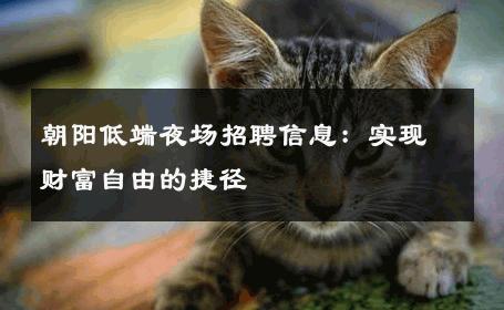 朝阳低端夜场招聘信息：实现财富自由的捷径