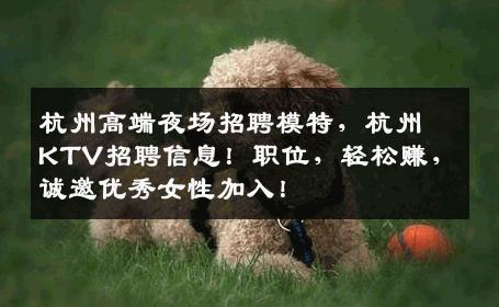 杭州高端夜场招聘模特，杭州KTV招聘信息！职位，轻松赚，诚邀优秀女性加入！