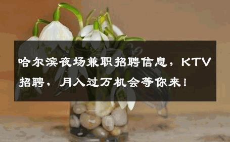 哈尔滨夜场兼职招聘信息，KTV招聘，月入过万机会等你来！