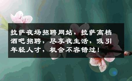 拉萨夜场招聘网站，拉萨高档酒吧招聘，尽享夜生活，吸引年轻人才，机会不容错过！