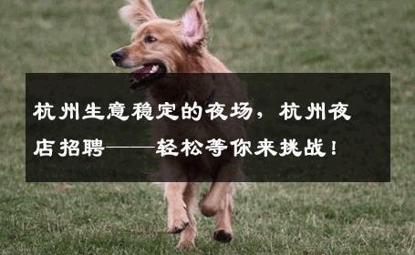 杭州生意稳定的夜场，杭州夜店招聘——轻松等你来挑战！