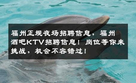 福州正规夜场招聘信息，福州酒吧KTV招聘信息！岗位等你来挑战，机会不容错过！