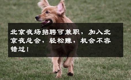 北京夜场招聘可兼职，加入北京夜总会，轻松赚，机会不容错过！