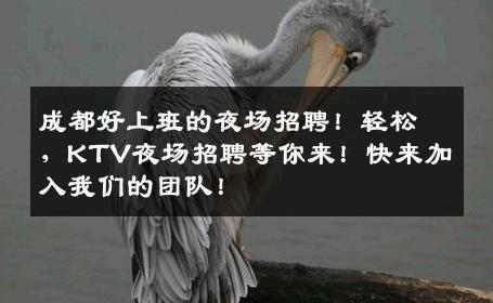 成都好上班的夜场招聘！轻松，KTV夜场招聘等你来！快来加入我们的团队！