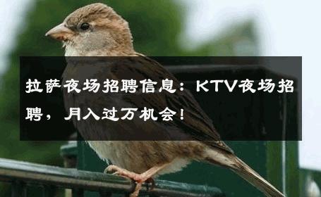 拉萨夜场招聘信息：KTV夜场招聘，月入过万机会！