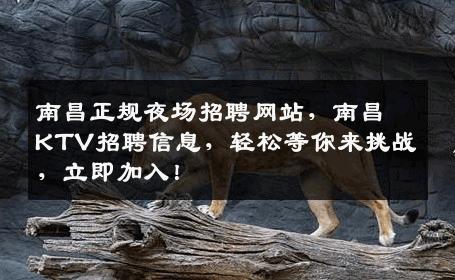 南昌正规夜场招聘网站，南昌KTV招聘信息，轻松等你来挑战，立即加入！