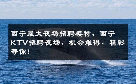 西宁最大夜场招聘模特，西宁KTV招聘夜场，机会难得，精彩等你！