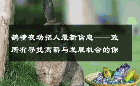 鹤壁夜场招人最新信息——致所有寻找高薪与发展机会的你
