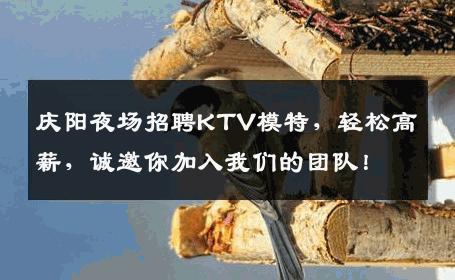 庆阳夜场招聘KTV模特，轻松高薪，诚邀你加入我们的团队！