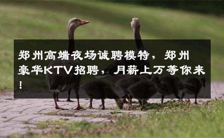 郑州高端夜场诚聘模特，郑州豪华KTV招聘，月薪上万等你来！