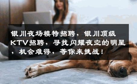 银川夜场模特招聘，银川顶级KTV招聘，寻找闪耀夜空的明星，机会难得，等你来挑战！