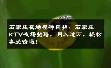 石家庄夜场模特直招，石家庄KTV夜场招聘，月入过万，轻松享受待遇！