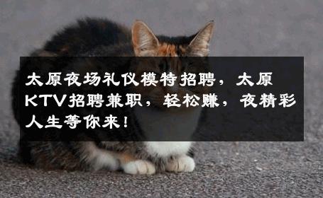 太原夜场礼仪模特招聘，太原KTV招聘兼职，轻松赚，夜精彩人生等你来！