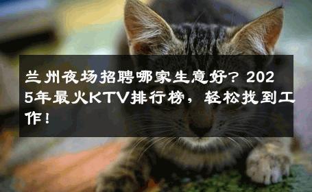 兰州夜场招聘哪家生意好？2025年最火KTV排行榜，轻松找到工作！