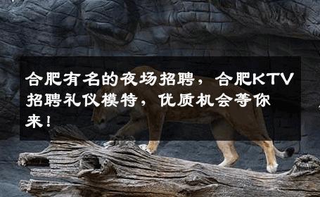 合肥有名的夜场招聘，合肥KTV招聘礼仪模特，优质机会等你来！