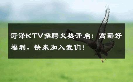菏泽KTV招聘火热开启：高薪好福利，快来加入我们！
