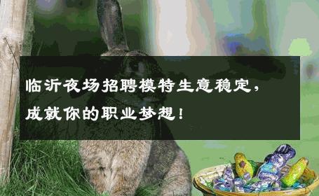 临沂夜场招聘模特生意稳定，成就你的职业梦想！
