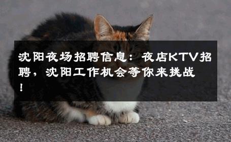 沈阳夜场招聘信息：夜店KTV招聘，沈阳工作机会等你来挑战！