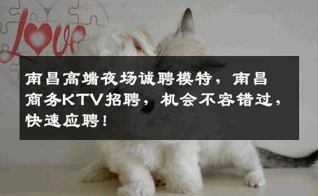 南昌高端夜场诚聘模特，南昌商务KTV招聘，机会不容错过，快速应聘！