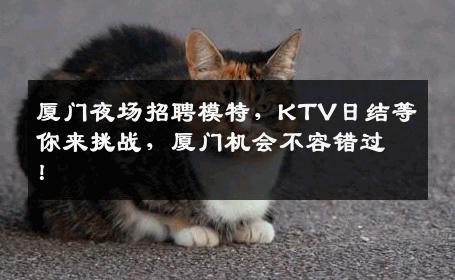 厦门夜场招聘模特，KTV日结等你来挑战，厦门机会不容错过！