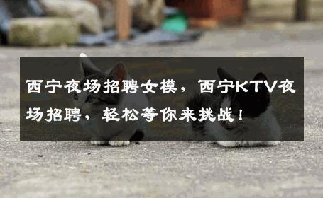 西宁夜场招聘女模，西宁KTV夜场招聘，轻松等你来挑战！