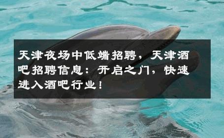 天津夜场中低端招聘，天津酒吧招聘信息：开启之门，快速进入酒吧行业！
