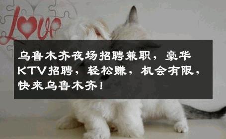 乌鲁木齐夜场招聘兼职，豪华KTV招聘，轻松赚，机会有限，快来乌鲁木齐！