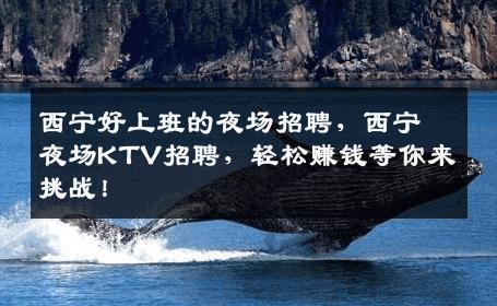西宁好上班的夜场招聘，西宁夜场KTV招聘，轻松赚钱等你来挑战！
