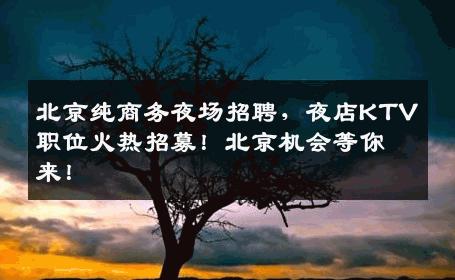 北京纯商务夜场招聘，夜店KTV职位火热招募！北京机会等你来！