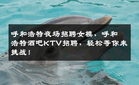 呼和浩特夜场招聘女模，呼和浩特酒吧KTV招聘，轻松等你来挑战！