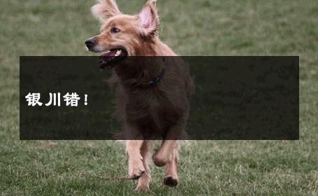 银川错！