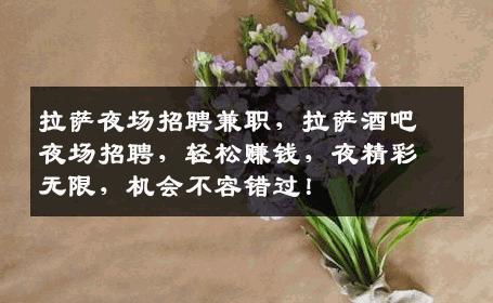 拉萨夜场招聘兼职，拉萨酒吧夜场招聘，轻松赚钱，夜精彩无限，机会不容错过！