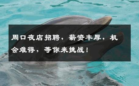 周口夜店招聘，薪资丰厚，机会难得，等你来挑战！
