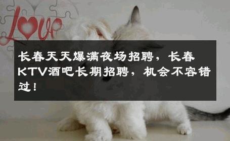 长春天天爆满夜场招聘，长春KTV酒吧长期招聘，机会不容错过！