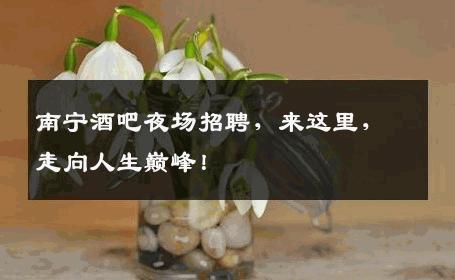 南宁酒吧夜场招聘，来这里，走向人生巅峰！