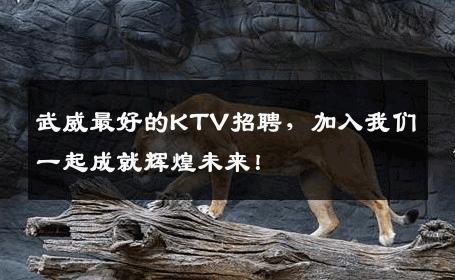武威最好的KTV招聘，加入我们一起成就辉煌未来！