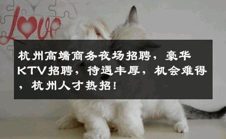 杭州高端商务夜场招聘，豪华KTV招聘，待遇丰厚，机会难得，杭州人才热招！