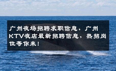 广州夜场招聘求职信息，广州KTV夜店最新招聘信息，热招岗位等你来！