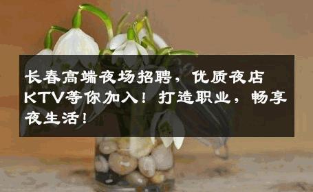 长春高端夜场招聘，优质夜店KTV等你加入！打造职业，畅享夜生活！