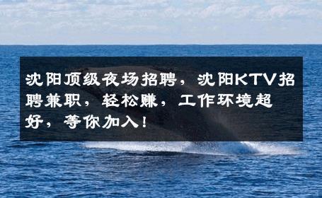 沈阳顶级夜场招聘，沈阳KTV招聘兼职，轻松赚，工作环境超好，等你加入！