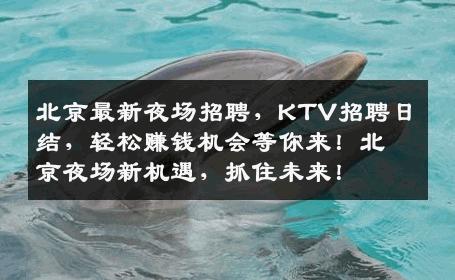 北京最新夜场招聘，KTV招聘日结，轻松赚钱机会等你来！北京夜场新机遇，抓住未来！