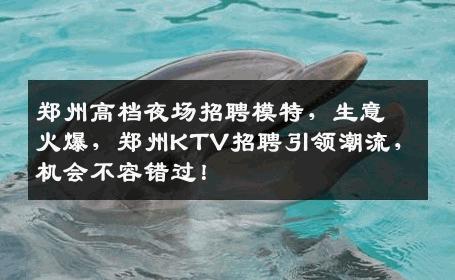 郑州高档夜场招聘模特，生意火爆，郑州KTV招聘引领潮流，机会不容错过！