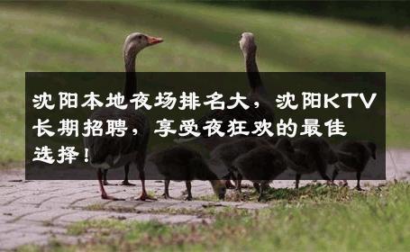 沈阳本地夜场排名大，沈阳KTV长期招聘，享受夜狂欢的最佳选择！