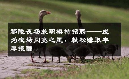 鄢陵夜场兼职模特招聘——成为夜场闪亮之星，轻松赚取丰厚报酬