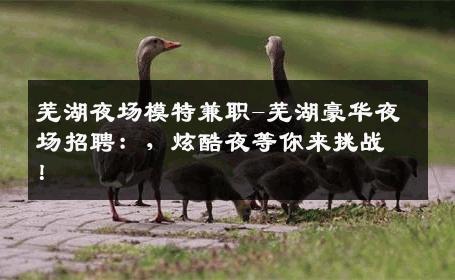 芜湖夜场模特兼职-芜湖豪华夜场招聘：，炫酷夜等你来挑战！