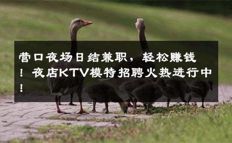 营口夜场日结兼职，轻松赚钱！夜店KTV模特招聘火热进行中！