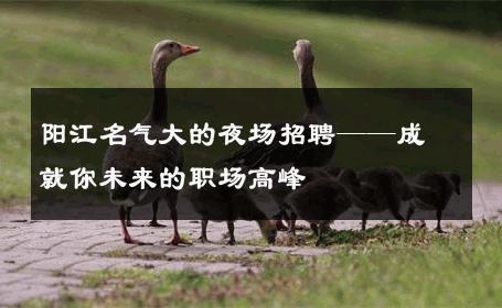阳江名气大的夜场招聘——成就你未来的职场高峰